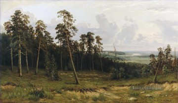 Tannenwald auf dem Fluss kama 1877 klassische Landschaft Ivan Ivanovich Bäume Ölgemälde